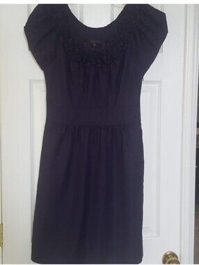 NWT The Limited Purple Ruffled Scoop Neck Dress